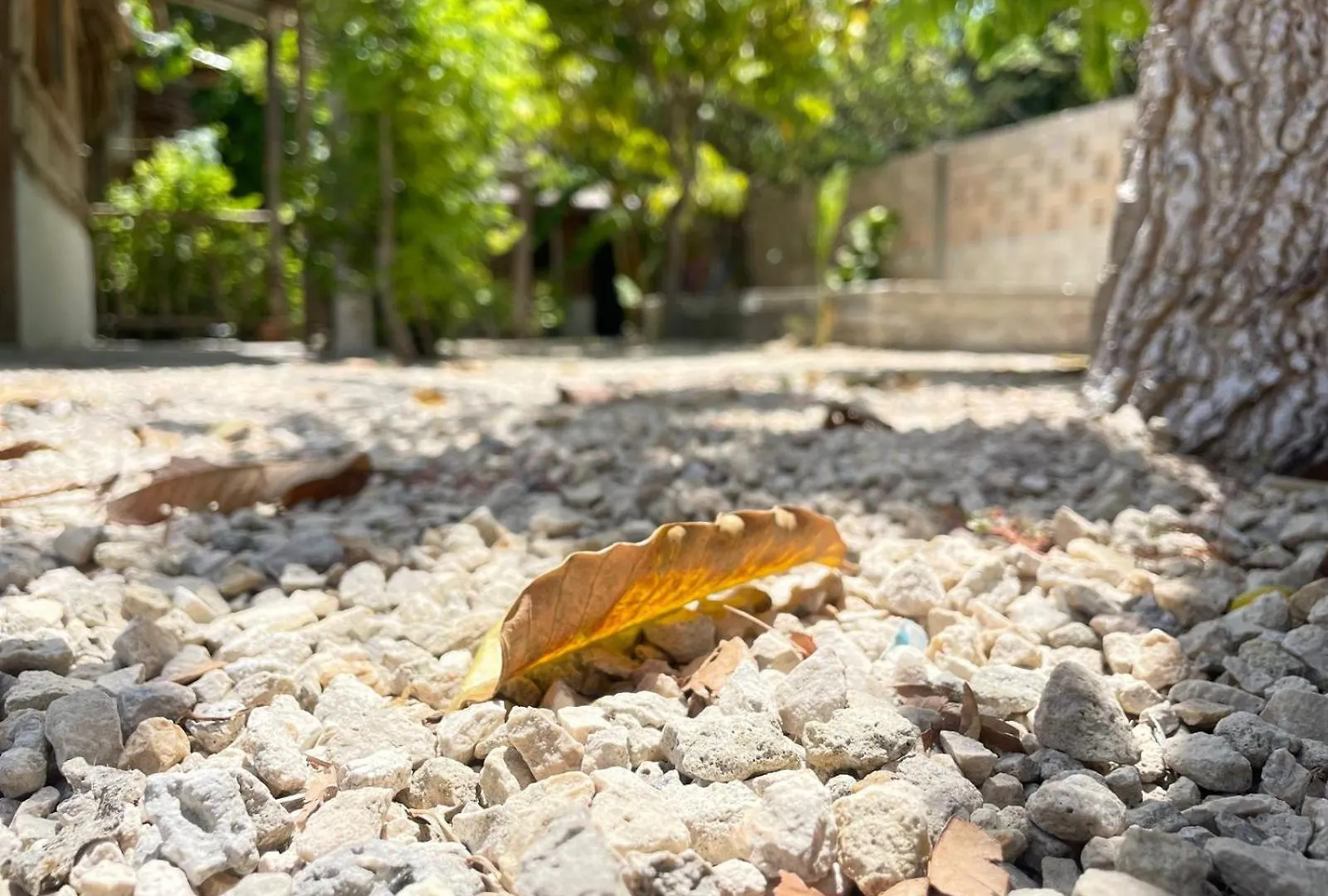Aldea Muul Tuunich Hotel Bacalar