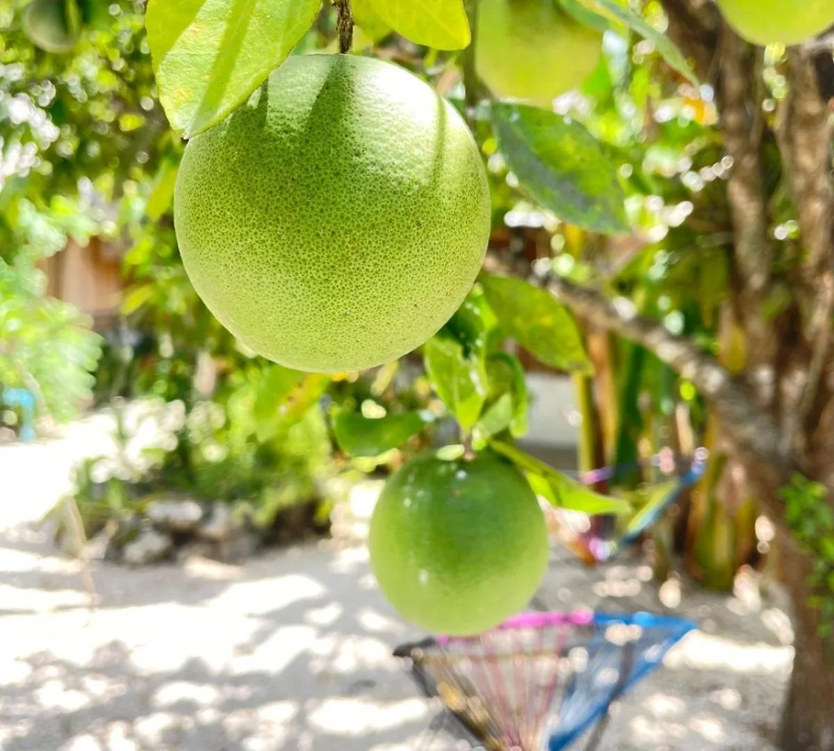 Aldea Muul Tuunich Hotel Bacalar