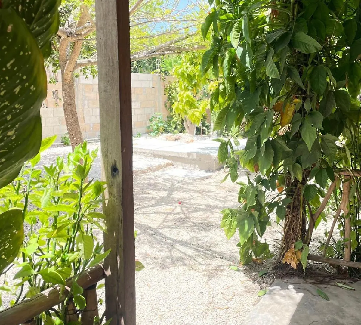 Hotel Aldea Muul Tuunich à Bacalar 0*,